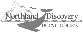 Northland Discovery Boat Tours